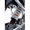 Pit bike DREAM SHIVER PL EDITON